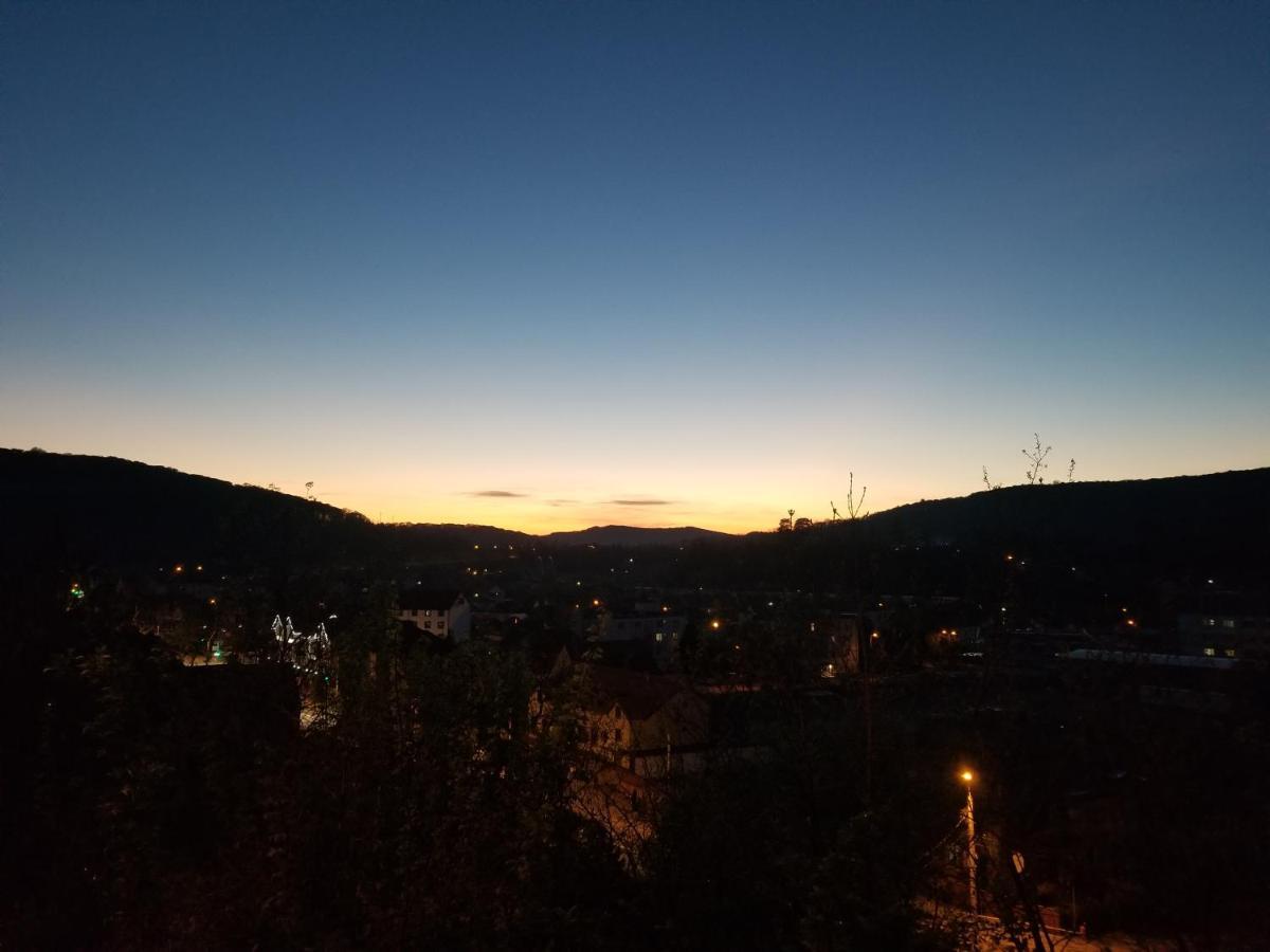 Pensiunea Lelila Inn Сигишоара Экстерьер фото
