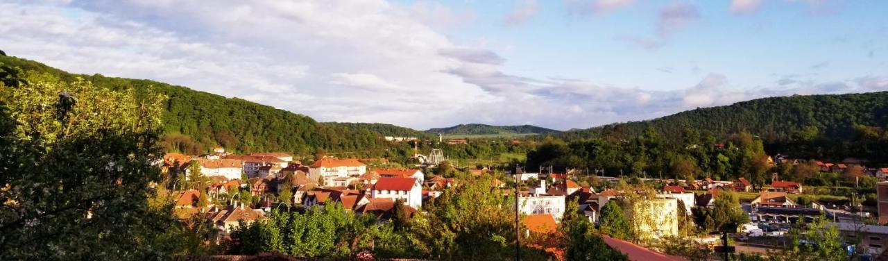 Pensiunea Lelila Inn Сигишоара Экстерьер фото